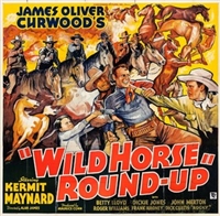 Wild Horse Roundup movie posters (1936) mug #MOV_1904208