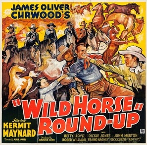 Wild Horse Roundup movie posters (1936) hoodie