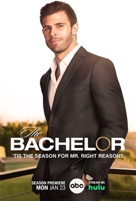 The Bachelor movie posters (2002) Poster MOV_1905473