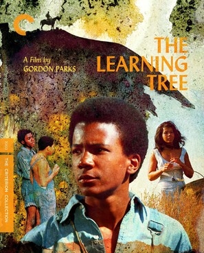 The Learning Tree movie posters (1969) mouse pad