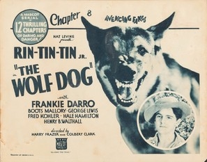 The Wolf Dog movie posters (1933) poster
