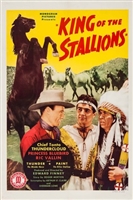 King of the Stallions movie posters (1942) magic mug #MOV_1911372