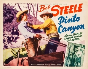 Pinto Canyon movie posters (1940) poster