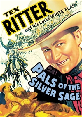Pals of the Silver Sage movie posters (1940) metal framed poster