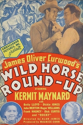 Wild Horse Roundup movie posters (1936) metal framed poster