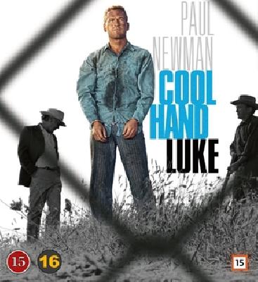 Cool Hand Luke movie posters (1967) Poster MOV_1917104