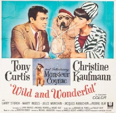 Wild and Wonderful movie posters (1964) Poster MOV_1917800