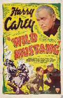 Wild Mustang movie posters (1935) mug #MOV_1918642