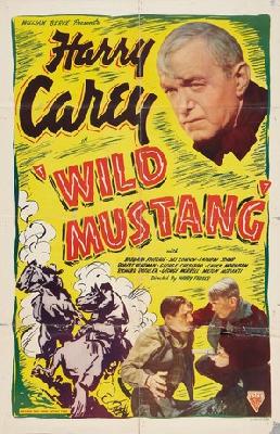 Wild Mustang movie posters (1935) mug