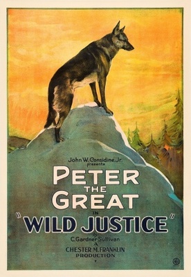 Wild Justice movie poster (1925) hoodie