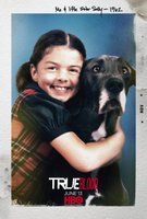 True Blood movie poster (2007) hoodie #669580