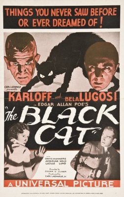 The Black Cat movie poster (1941) metal framed poster