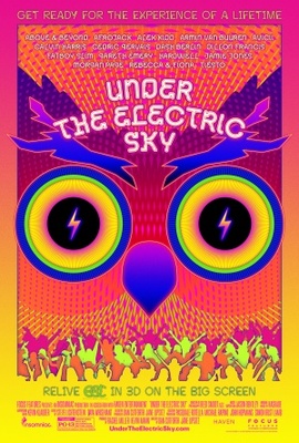 EDC 2013: Under the Electric Sky movie poster (2013) canvas poster