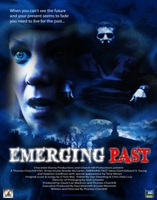 Emerging Past movie poster (2010) puzzle MOV_1ced944e