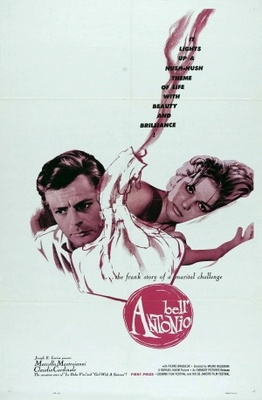 Bell'Antonio, Il movie poster (1960) wood print