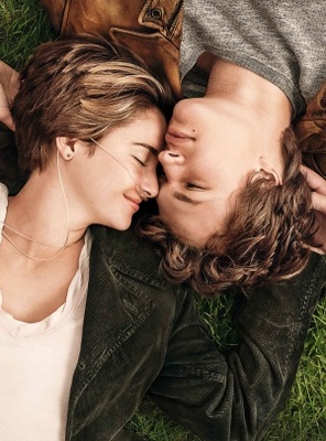 The Fault in Our Stars movie poster (2014) poster with hanger