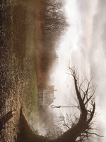 The Conjuring movie poster (2013) mug #MOV_1eeea842