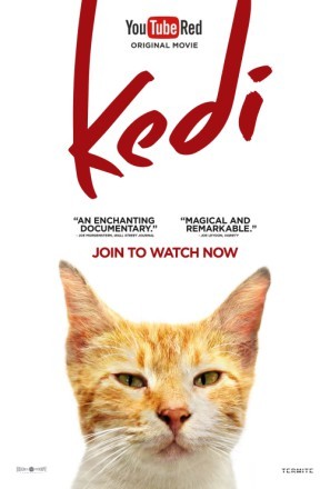 Kedi movie poster (2017) mug