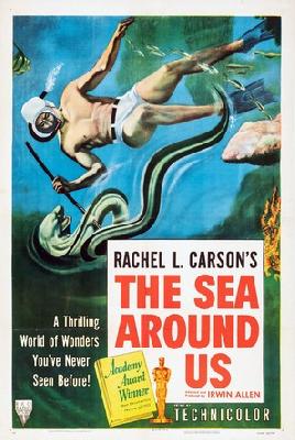 The Sea Around Us movie posters (1953) pillow