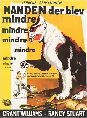 The Incredible Shrinking Man movie posters (1957) Poster MOV_2235381