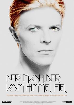 The Man Who Fell to Earth movie posters (1976) wooden framed poster