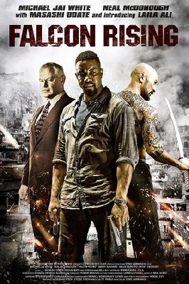 Falcon Rising movie posters (2014) canvas poster