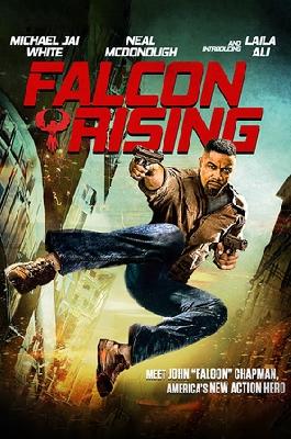 Falcon Rising movie posters (2014) puzzle MOV_2240020