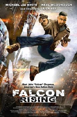 Falcon Rising movie posters (2014) wooden framed poster