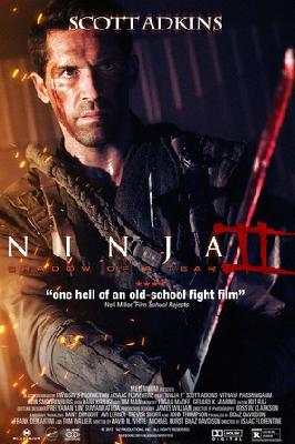 Ninja: Shadow of a Tear movie posters (2013) poster