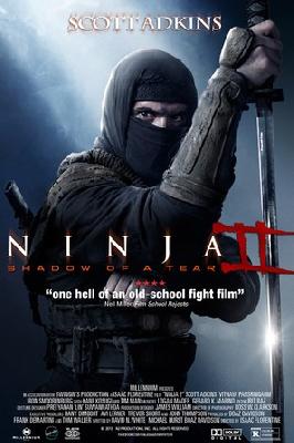 Ninja: Shadow of a Tear movie posters (2013) Poster MOV_2240487