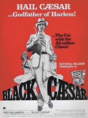 Black Caesar movie posters (1973) t-shirt