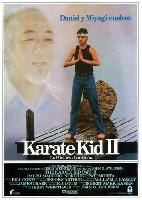 The Karate Kid, Part II movie posters (1986) t-shirt #3687597