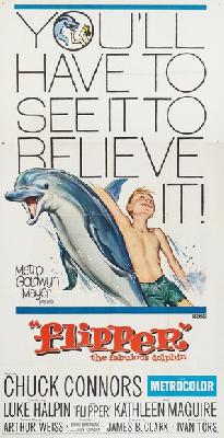 Flipper movie posters (1963) wooden framed poster