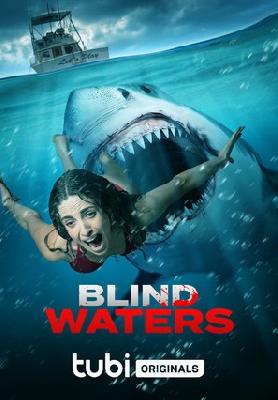 Blind Waters movie posters (2023) posters