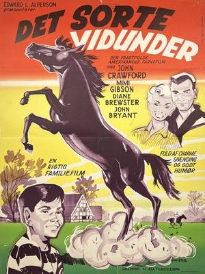 Courage of Black Beauty movie posters (1957) wood print