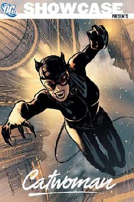 DC Showcase: Catwoman movie posters (2011) puzzle MOV_2258029