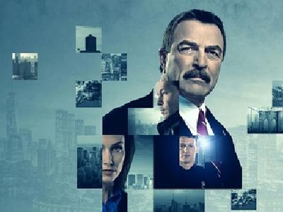 Blue Bloods movie posters (2010) canvas poster