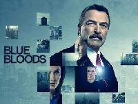 Blue Bloods movie posters (2010) tote bag #MOV_2258317