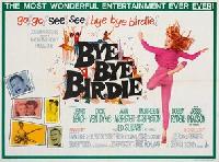 Bye Bye Birdie movie posters (1963) hoodie #3698826