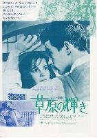 Splendor in the Grass movie posters (1961) tote bag #MOV_2264242