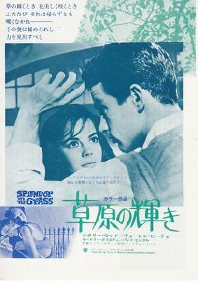 Splendor in the Grass movie posters (1961) mug #MOV_2264242