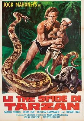 Tarzan's Three Challenges movie posters (1963) wooden framed poster