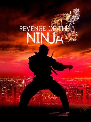 Revenge Of The Ninja movie posters (1983) pillow