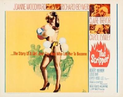 The Stripper movie posters (1963) wooden framed poster