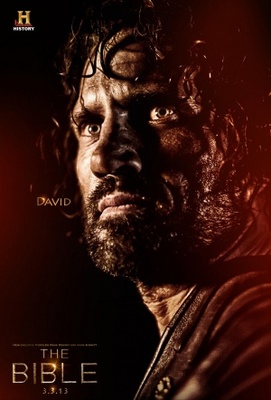 The Bible movie poster (2013) canvas poster