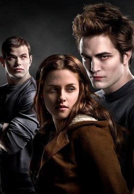 Twilight movie poster (2008) mug #MOV_23754581