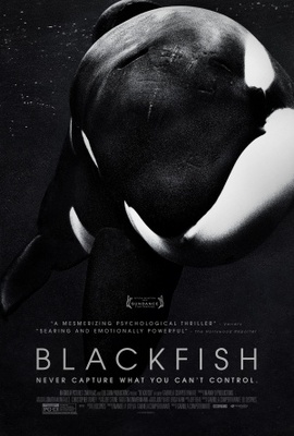 Blackfish movie poster (2013) metal framed poster