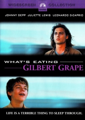 What's Eating Gilbert Grape movie poster (1993) poster with hanger