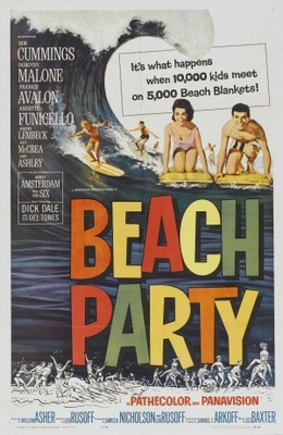 Beach Party movie poster (1963) hoodie