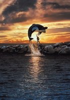 Free Willy movie poster (1993) Mouse Pad MOV_252cf274